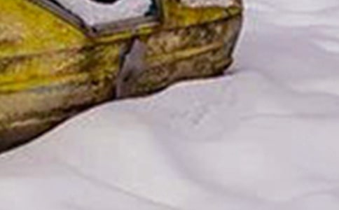 暴雪灾害应急预案合集15篇