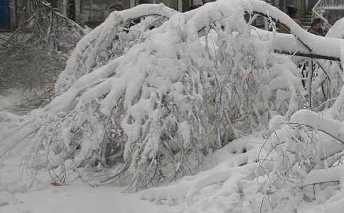 冰雪灾害抢险应急预案精选15篇