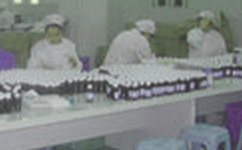 有关写药厂实习自我小结
