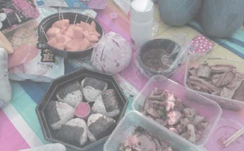 【必备】野餐的作文