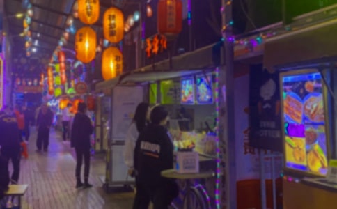 【必备】逛夜市作文10篇