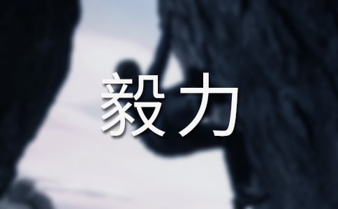 关于毅力作文