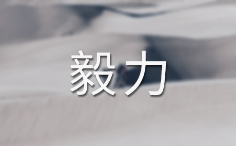 谈毅力作文