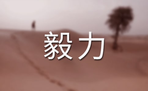 关于毅力的作文（优）