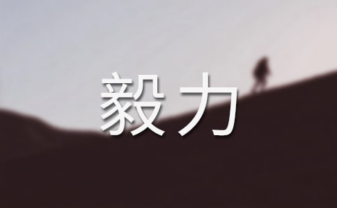 毅力作文话题作文550字