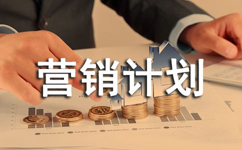 个人年度营销计划书