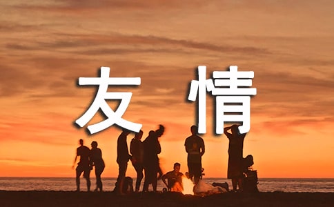 这里有友情作文