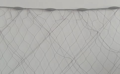 渔网爱情作文900字