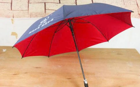 关于雨伞的作文经典(5篇)