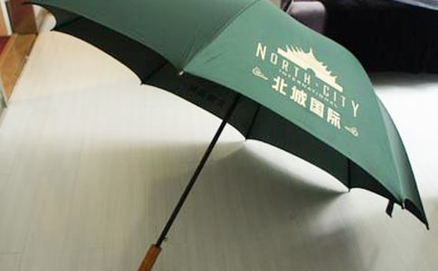 雨伞的作文15篇[精华]
