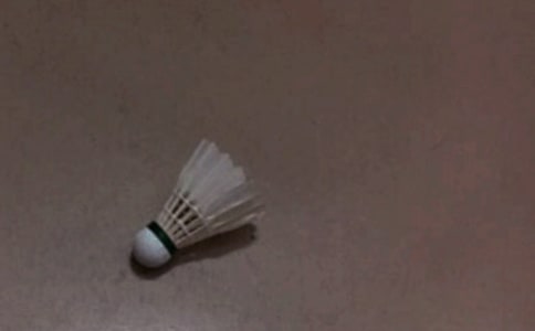 第一次打羽毛球作文[常用15篇]