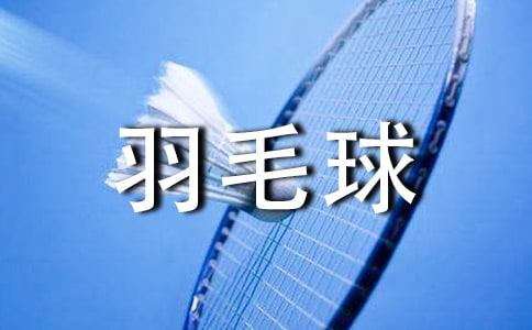 打羽毛球作文（经典）