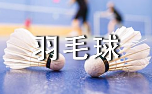 打羽毛球作文（精选39篇）