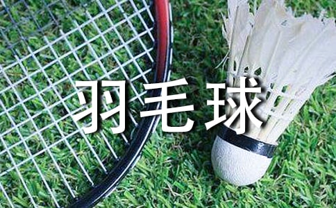 羽毛球比赛作文小学三年级范文