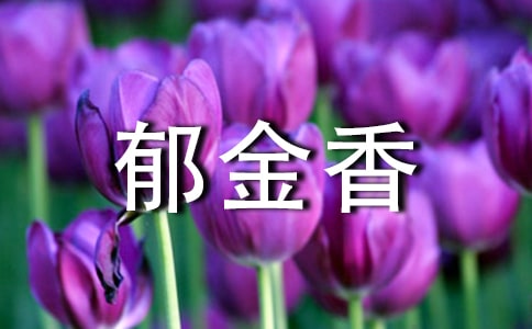 最美郁金香作文