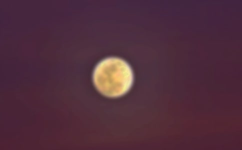 月圆之夜作文(推荐)