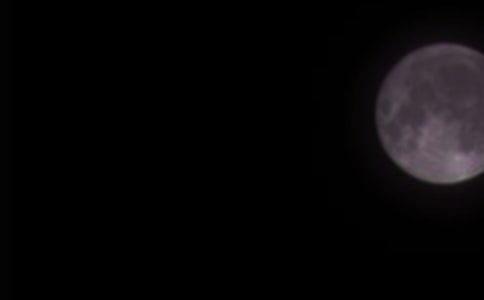 月圆之夜作文300