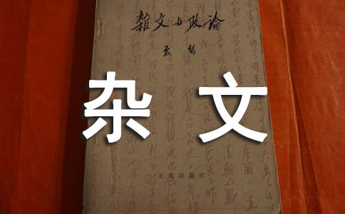 面孔杂文
