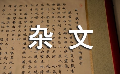 绿洲的杂文