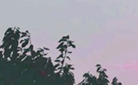 经典早安正能量语录合集40句