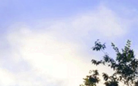 早安一句话合集14篇