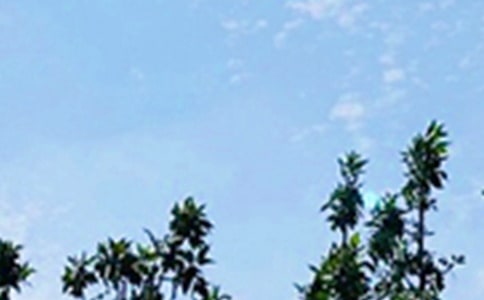 早安一句暖心话集锦(14篇)