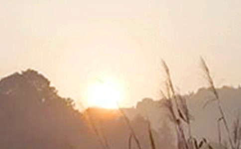 甜蜜早安问候短信