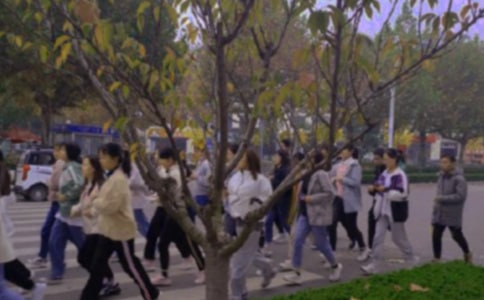 小学生没去做早操检讨书