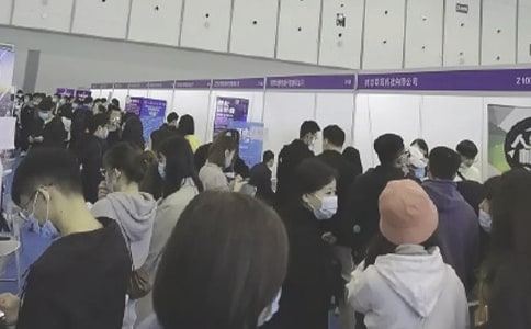 有趣的招聘会作文