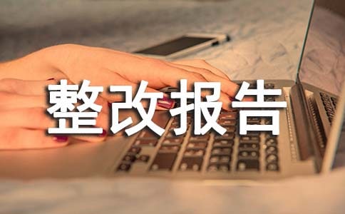 年度自查自纠整改报告