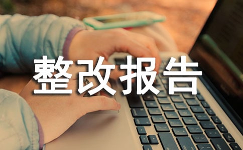 汛期应急准备督导整改报告