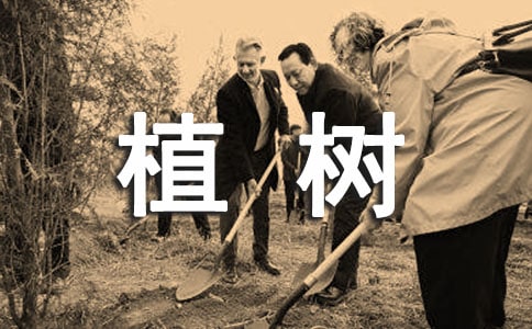 植树看图写话