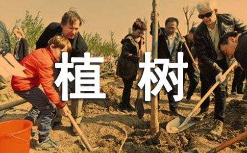 看图写话的作文：植树