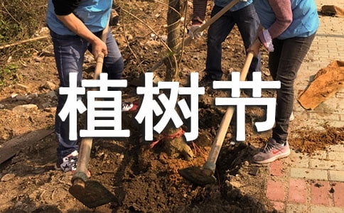 植树节对生态环境保护有什么意义