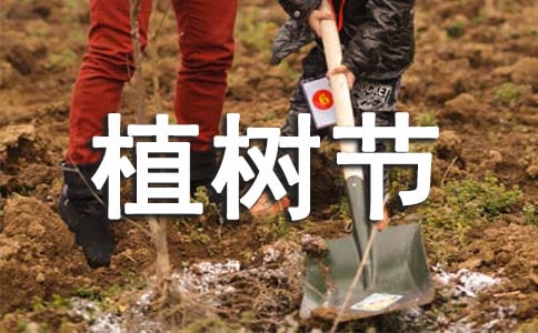幼儿园植树节主题班会活动方案
