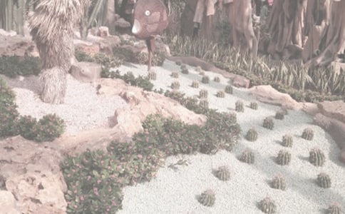 （热门）植物园小学生游记