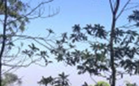 中午问候语