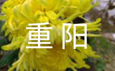 重阳记事作文6篇