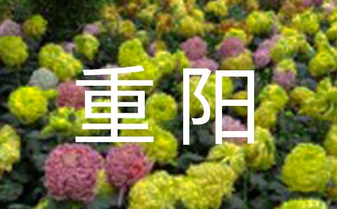 重阳登高随笔