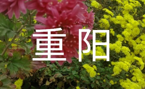 重阳佳节学生随笔