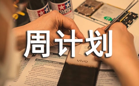 小学第一学期第十四周计划