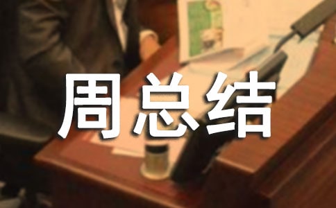 工作周总结范文简短通用