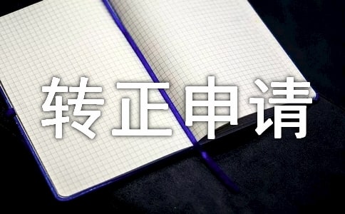 转正申请的书写要求