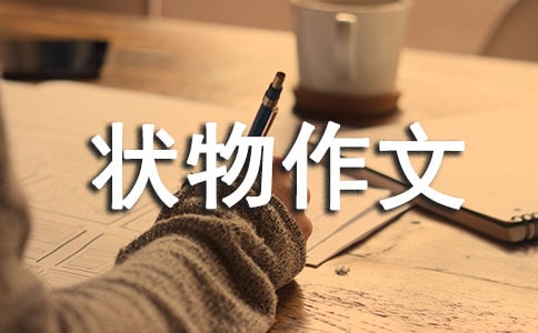 松树初一状物作文400字