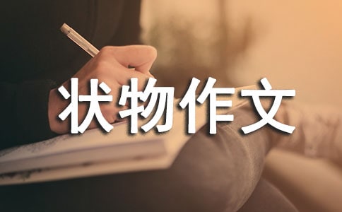 小学三年级状物作文200字(精选20篇)
