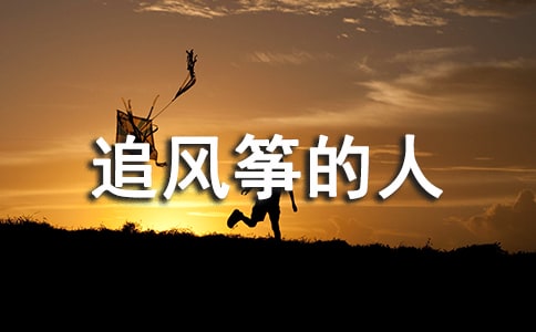 追风筝的人读后感想心得600字