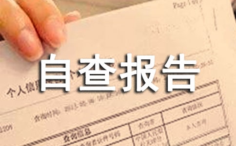 制度建设自查报告