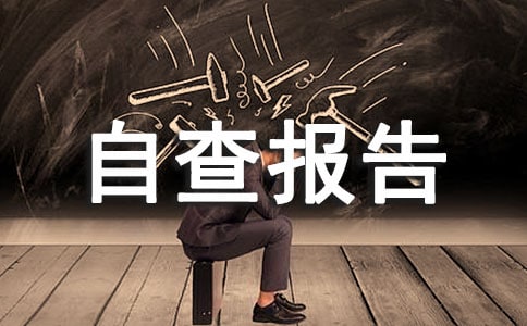 劳动年审自查报告