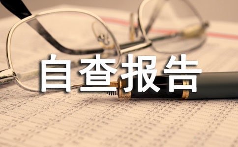 发展部2024年审计检查自查报告