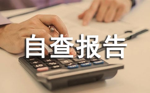 两基年审自检自查报告